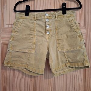 Anthropologie The Wanderer Shorts size 28 Tan